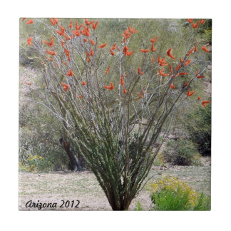 アリゾナのOcotillo タイル