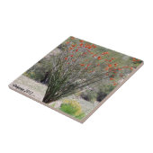 アリゾナのOcotillo タイル (側面)