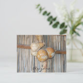 アリゾナはがき ポストカード (スタンド正面)