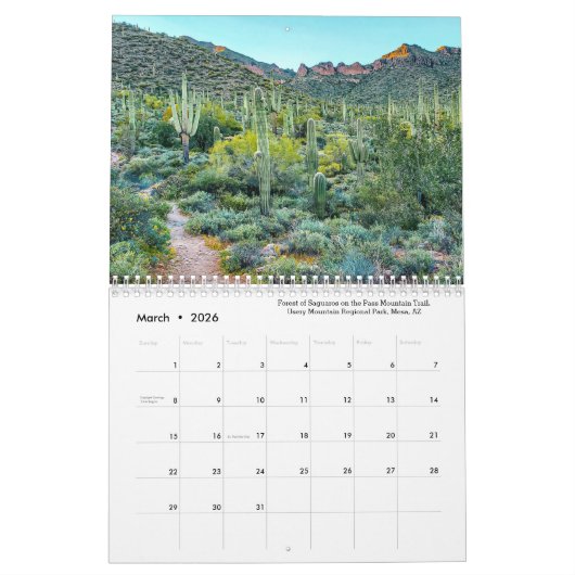アリゾナは素晴らしいPart2風景写真 カレンダー (3月 2026)