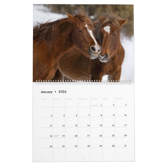 アリゾナカレンダーの野生馬 カレンダー (1月 2026)