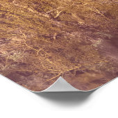 アリゾナサグアロス ポスター (角)