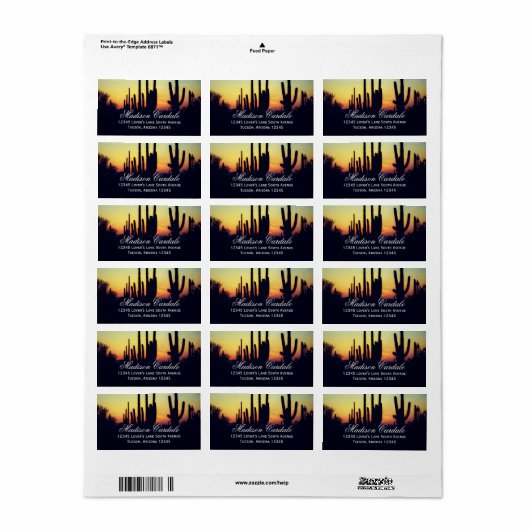 アリゾナサグアーロカボスサンセット住所 シール (フルシート)