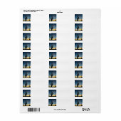 アリゾナサグアーロサボスサウスサンセット ラベル (フルシート)