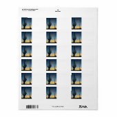 アリゾナサグアーロサボスサウスサンセット ラベル (フルシート)