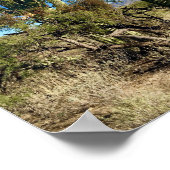 アリゾナサグアーロサボス砂漠 ポスター (角)