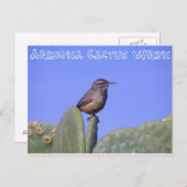 アリゾナサボウレン ポストカード (正面/裏面)