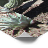 アリゾナサボスガーデン ポスター (角)