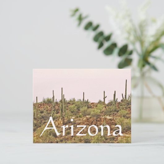 アリゾナサボテンの風景 ポストカード (スタンド正面)