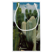 アリゾナサボテン スモールペーパーバッグ (裏面)