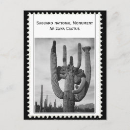 アリゾナサボテン ポストカード
