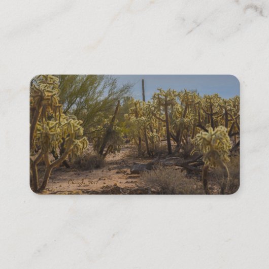 アリゾナサボラチョラビジネスカード 名刺 (正面)