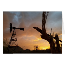 アリゾナサンセットウィンドミルサグアーロカボススケルトン