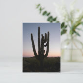 アリゾナサンセット ポストカード (スタンド正面)