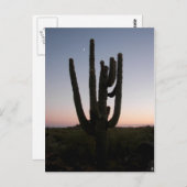 アリゾナサンセット ポストカード (正面/裏面)