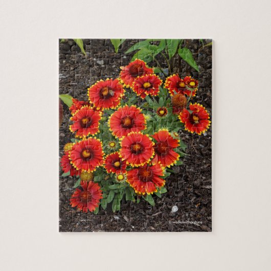 アリゾナサンブランケフラワー ジグソーパズル (縦)