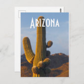 アリゾナサンリット猿楽 ポストカード (正面/裏面)