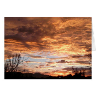 "アリゾナショー"