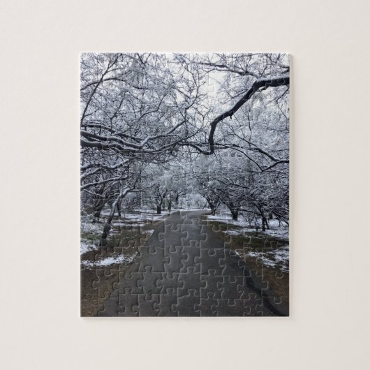 アリゾナスノーシーンパズル – 中110個 ジグソーパズル (縦)