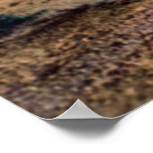 アリゾナデザートオコティロスイン開花 ポスター (角)