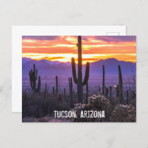 アリゾナデザートカボスサンセット自然写真土産