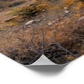 アリゾナトレイルの上で日没する ポスター (角)