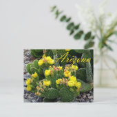 アリゾナハガキ梨サボテン ポストカード (スタンド正面)