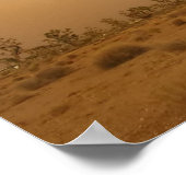 アリゾナハボブ ポスター (角)