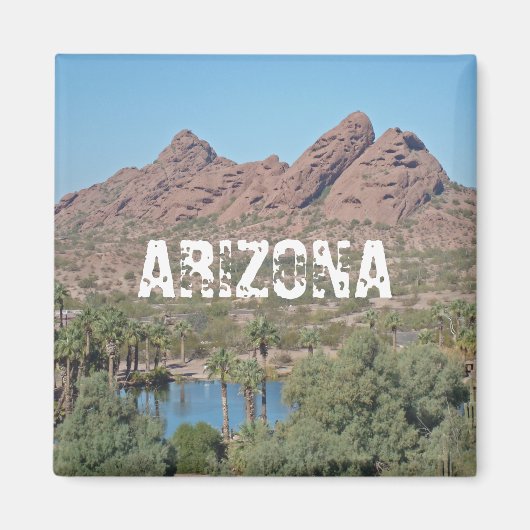 アリゾナパゴパークフェニックスサウスウエストランドスケープ マグネット (正面)