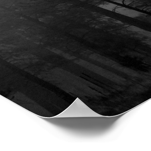 アリゾナフォグ ポスター (角)