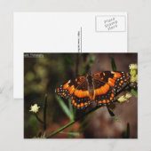 アリゾナフリー ポストカード (正面/裏面)