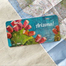 アリゾナプリックリーパーシカープレート