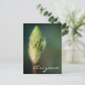 アリゾナポストカード春バドテンプレート ポストカード (スタンド正面)