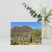 アリゾナポストカード ポストカード (スタンド正面)