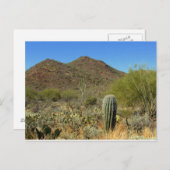 アリゾナポストカード ポストカード (正面/裏面)