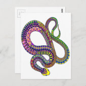 アリゾナラトル ポストカード (正面/裏面)