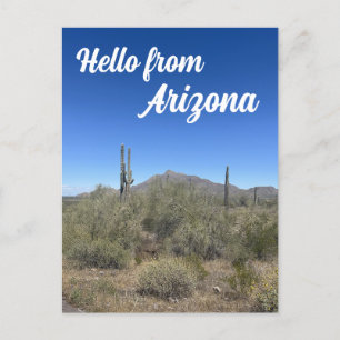 アリゾナランドスケープSaguaro Cactus自然 ポストカード