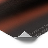 アリゾナレイベン ポスター (角)