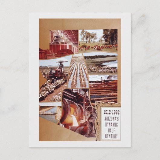 アリゾナ中世紀の農業砂漠の風景 シーズンポストカード (正面)