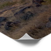 アリゾナ南西部の砂漠の夕日 ポスター (角)