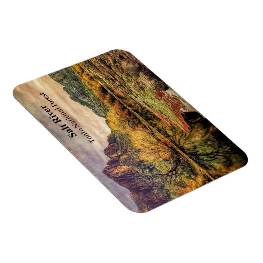 アリゾナ川ソノラン砂漠の山々デジタルアート マグネット (右側)