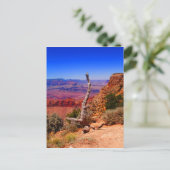 アリゾナ州のグランドキャニオンにある孤独な木 ポストカード (スタンド正面)