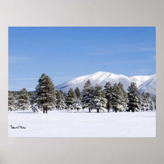 アリゾナ州のサンフランシスコ山脈と雪に覆われた松 ポスター (正面)