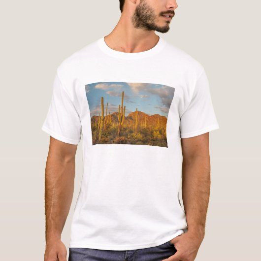 アリゾナ州の夕焼けとサワロサボテン Tシャツ (正面)