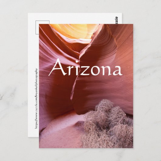 アリゾナ州の多くの色の峡谷 ポストカード (正面/裏面)