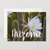 アリゾナ州の庭で5月 ポストカード (正面/裏面)