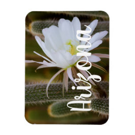 アリゾナ州の庭で5月 マグネット