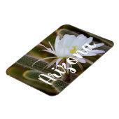 アリゾナ州の庭で5月 マグネット (左側)