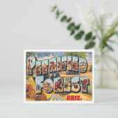 アリゾナ州の石化された森のヴィンテージ ポストカード (スタンド正面)