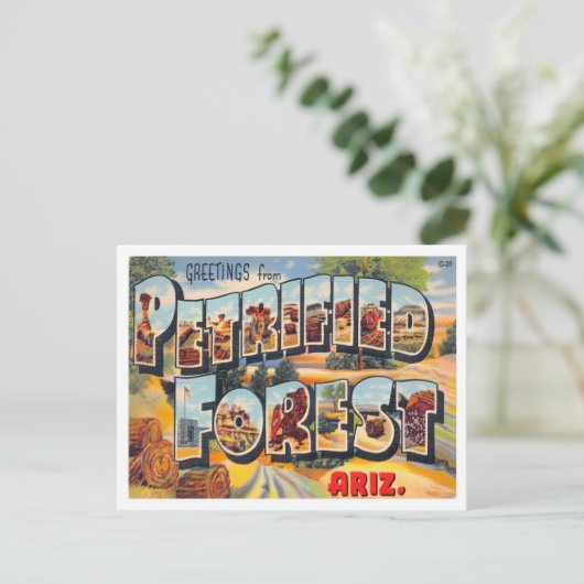 アリゾナ州の石化された森のヴィンテージ ポストカード (スタンド正面)